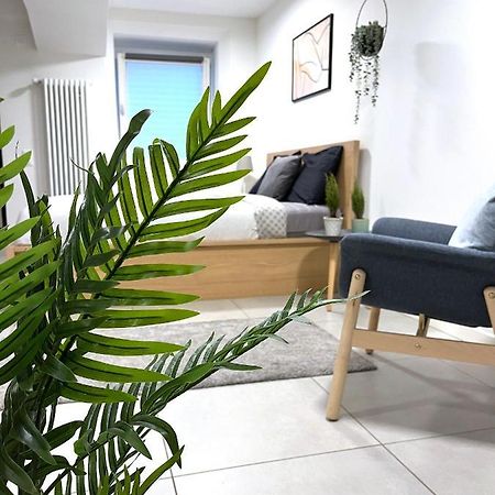 The Hidden Studio; Comfy & Close To The Lake Лугано Екстериор снимка